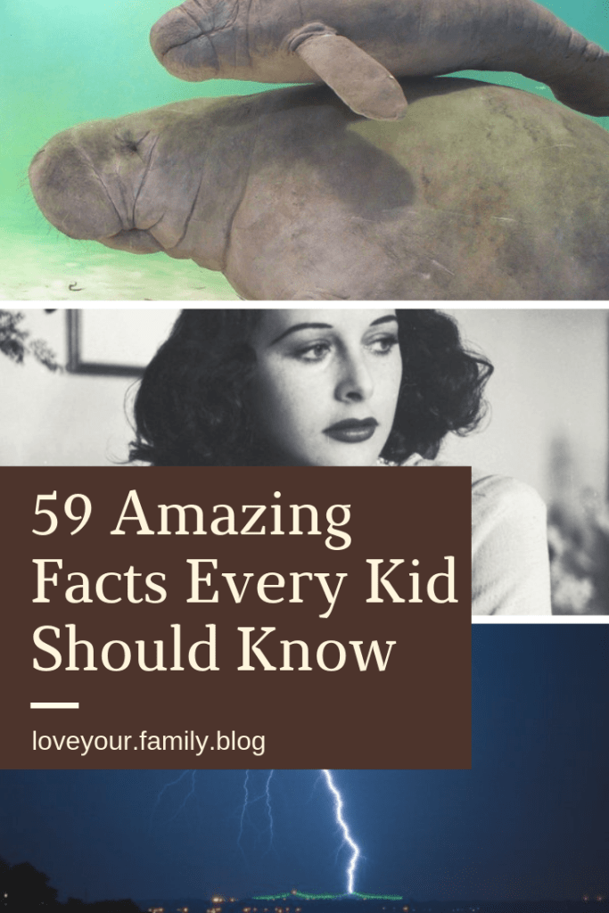 59 Amazing Facts Every Kid Should Know.png